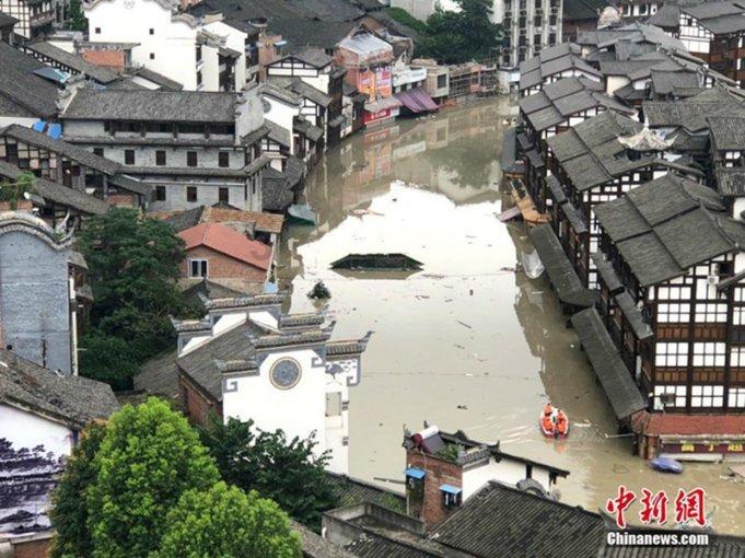蜂王救援